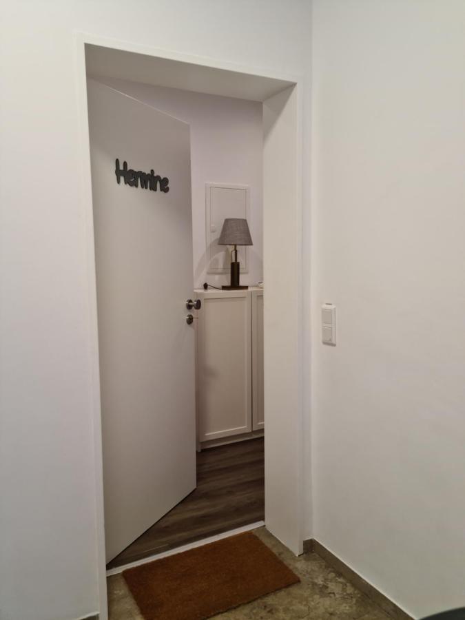 Pilgrims "Hermine" Fewo Mit 3 Schlafzimmern, Balkon, Fast Internet بريلون المظهر الخارجي الصورة